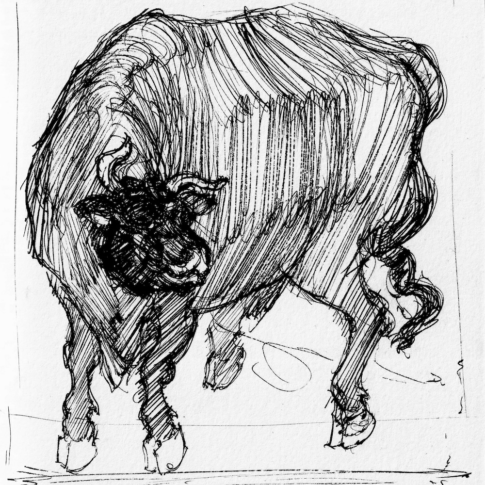 japanese bull master drawing