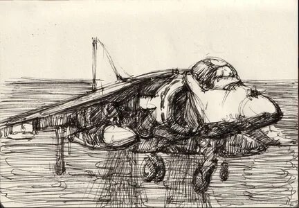 Artwork titled: 'harrier 2'