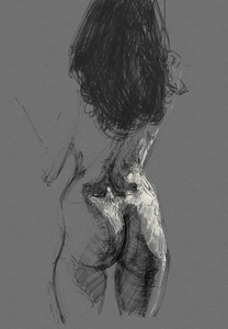 Artwork titled: 'posterior 2'